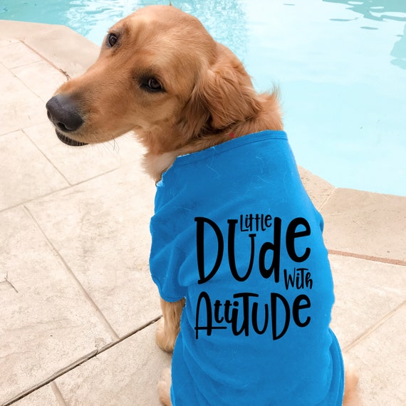 49+ Download Dog Clothes Mockup Free&nbsp;Psd